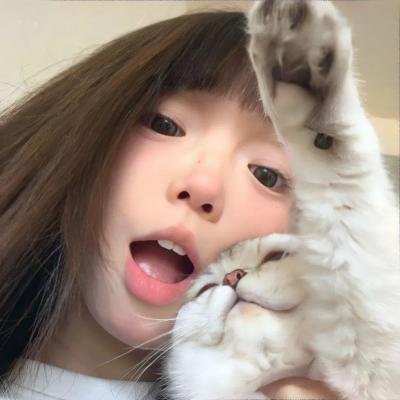 偷懒的猫